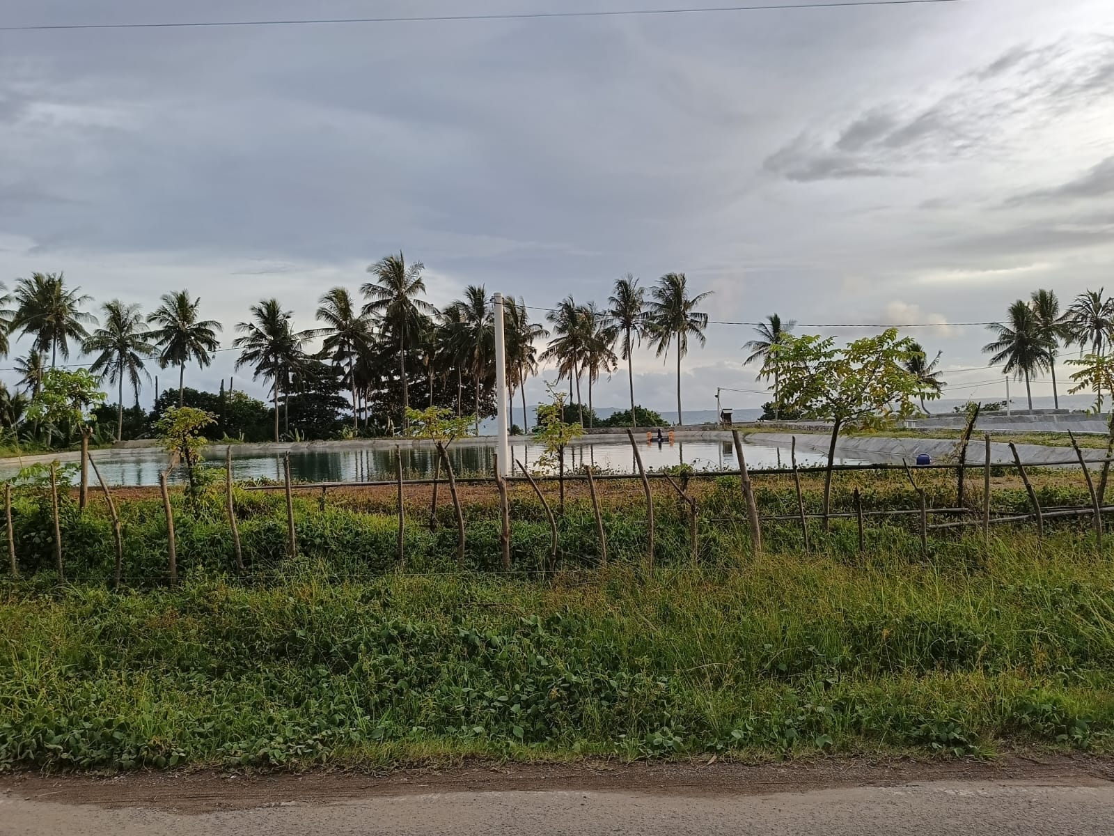 Tambak Udang Shenny Syarief Diduga Langgar Sempadan Pantai Dan Cemari Lingkungan, Warga Minta Pemerintah Bertindak