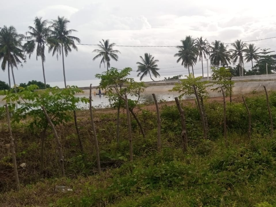 DLH Bicara Prosedur, ATM Pertanyakan Substansi: Sumur Payau Jadi Alarm Kerusakan Lingkungan