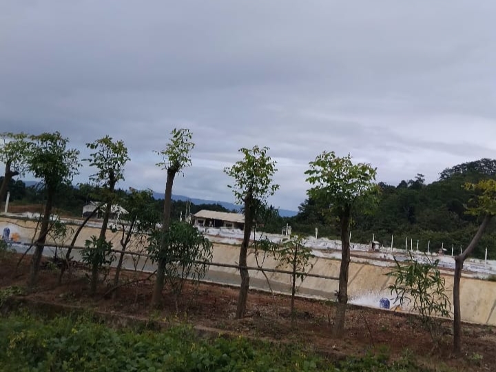 Sorotan Baru: Tambak Udang Di Limau Diduga Tidak Penuhi Standar Teknis IPAL.