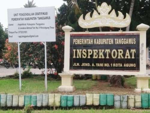 Sorotan Setoran Kepala Pekon, Inspektorat Mulai Kumpulkan Keterangan