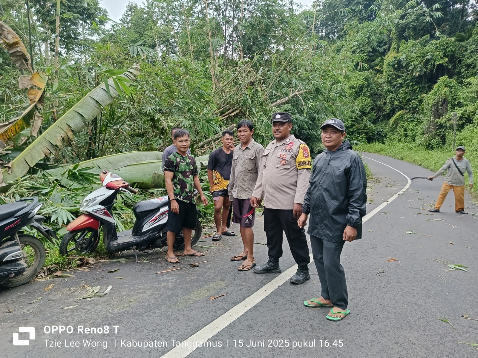 Akibat Angin Kencang Pohon Bambu Tumbang Halangi Jalan, Kakon Badak Lakukan Hal Ini.