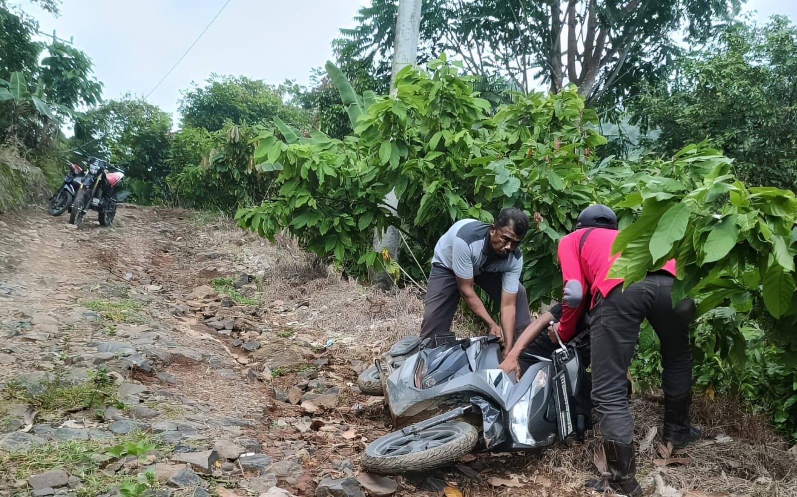 Lapor Pemerintah! Kerusakan Jalan Di Dusun Sukajaya Pekon Tanjung Jaya Sudah Semakin Kritis.